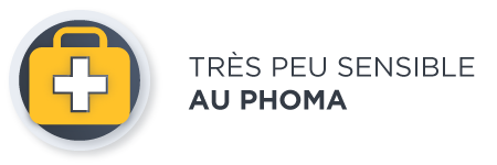 Retour gratuit en cas d'erreur