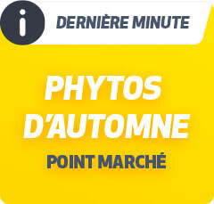 DERNIÈRE MINUTE PHYTOS D'AUTOMNE POINT MARCHÉ
